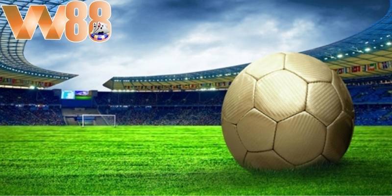 Tennis là môn thể thao mang lại sự kịch tính không kém bóng đá